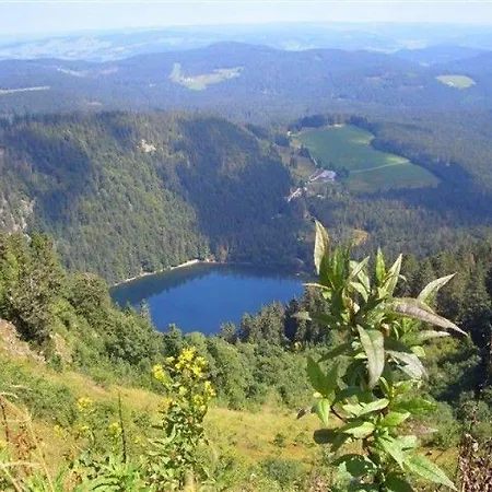 Apartmán Haus-windeck Friedenweiler