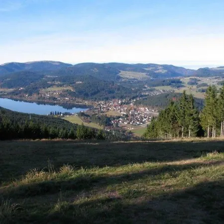 Haus-windeck * Friedenweiler